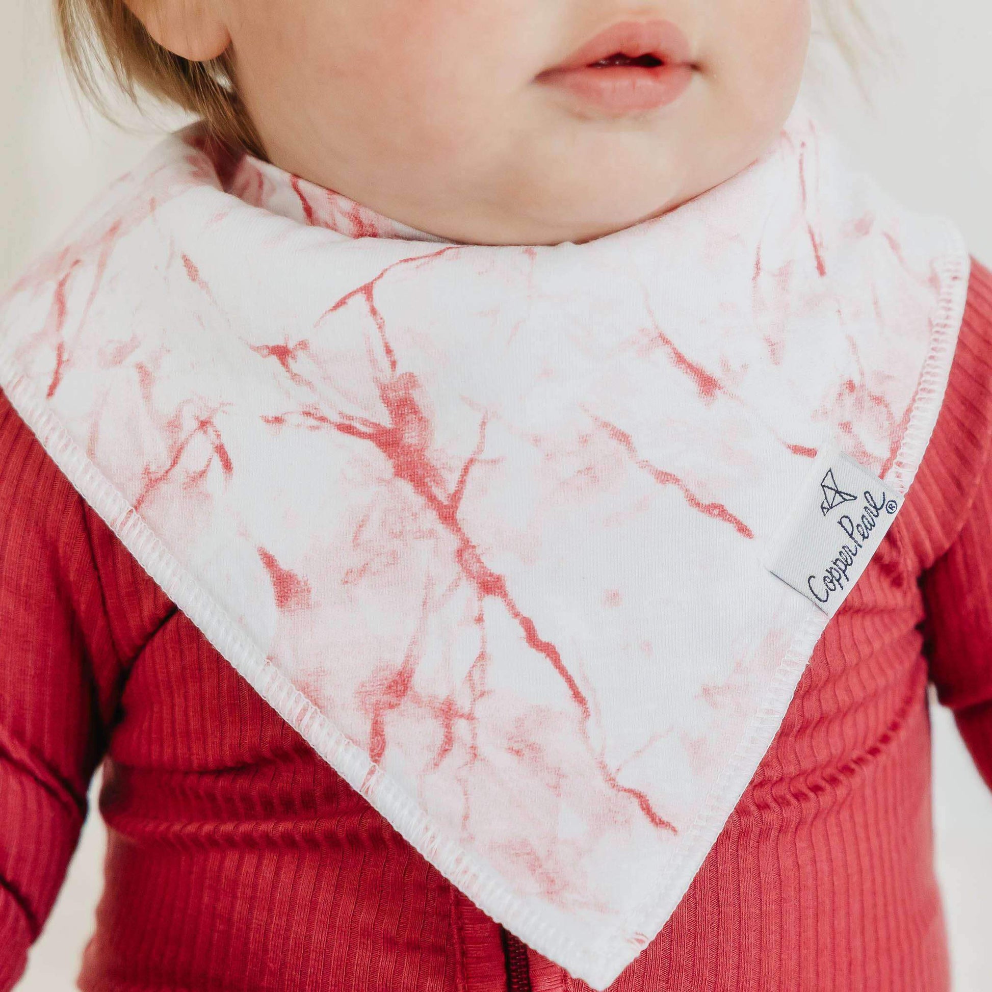 4 Pack Baby Bandana Bibs - Enchanted