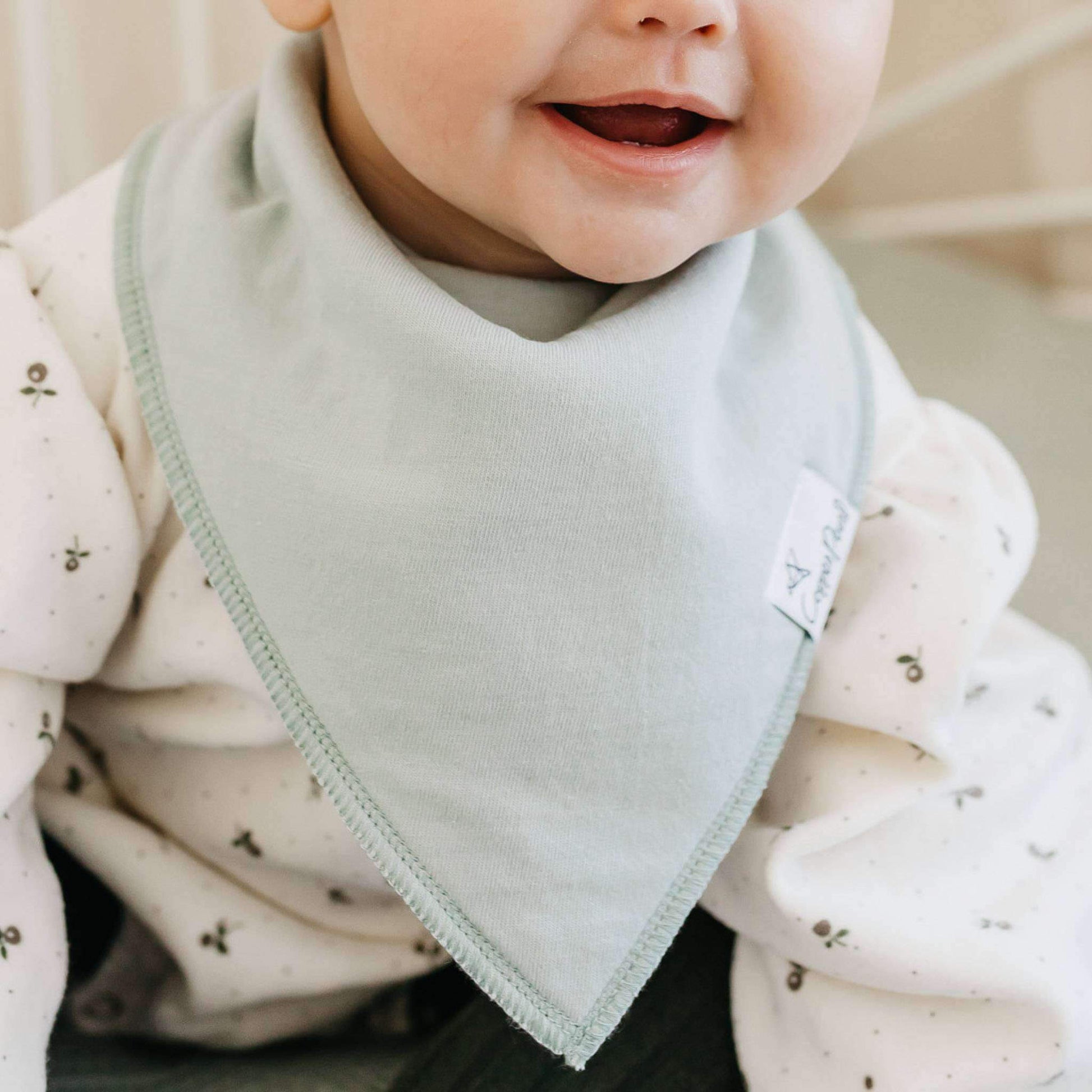 4 Pack Baby Bandana Bibs - Rex
