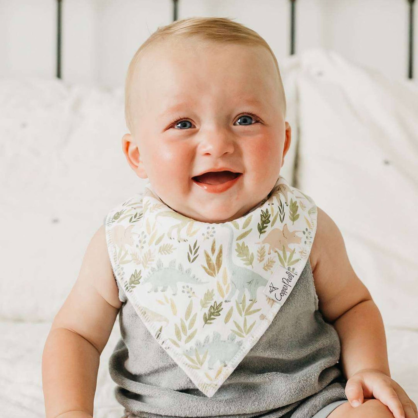 4 Pack Baby Bandana Bibs - Rex